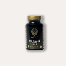 4GOLD Pro Choline pillen (60 st.)